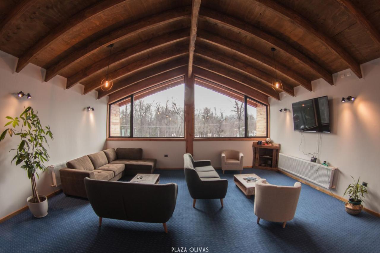 Las Bravas Lodge Las Trancas Eksteriør billede